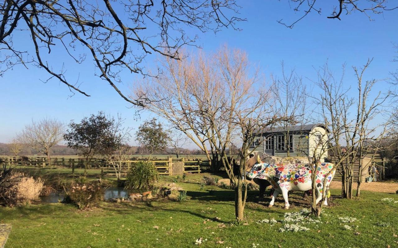 The Shepherd'S Hut @ Chichester Cottage Exterior photo