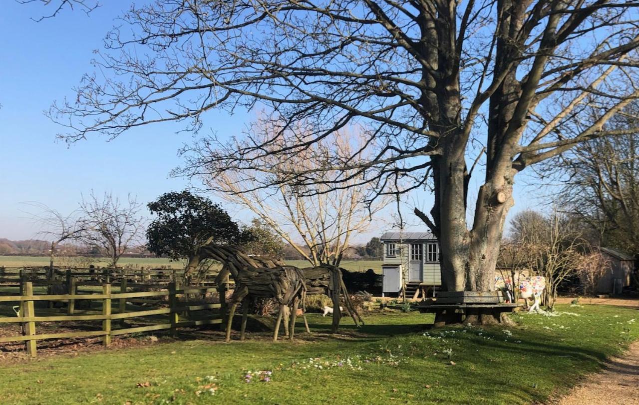 The Shepherd'S Hut @ Chichester Cottage Exterior photo